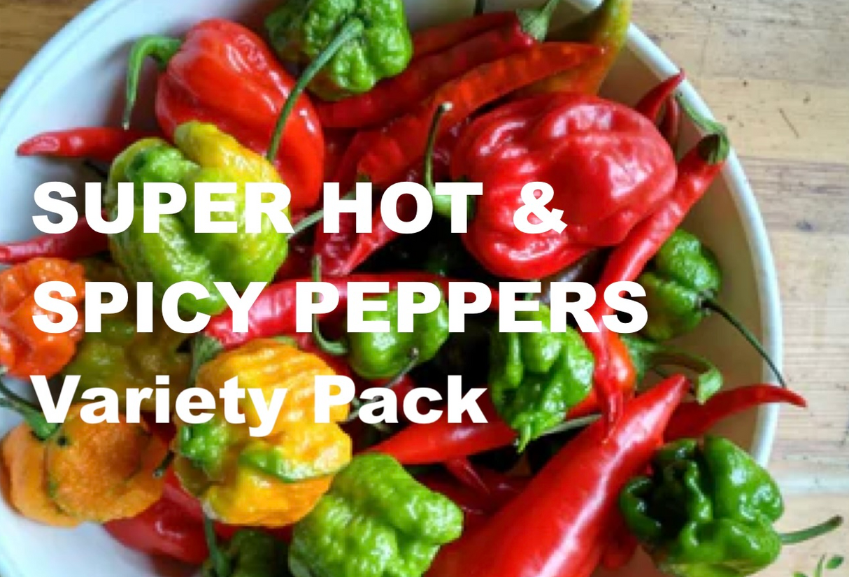 All-in-One Hottest Peppers π₯΅π₯πΆοΈ Variety Pack