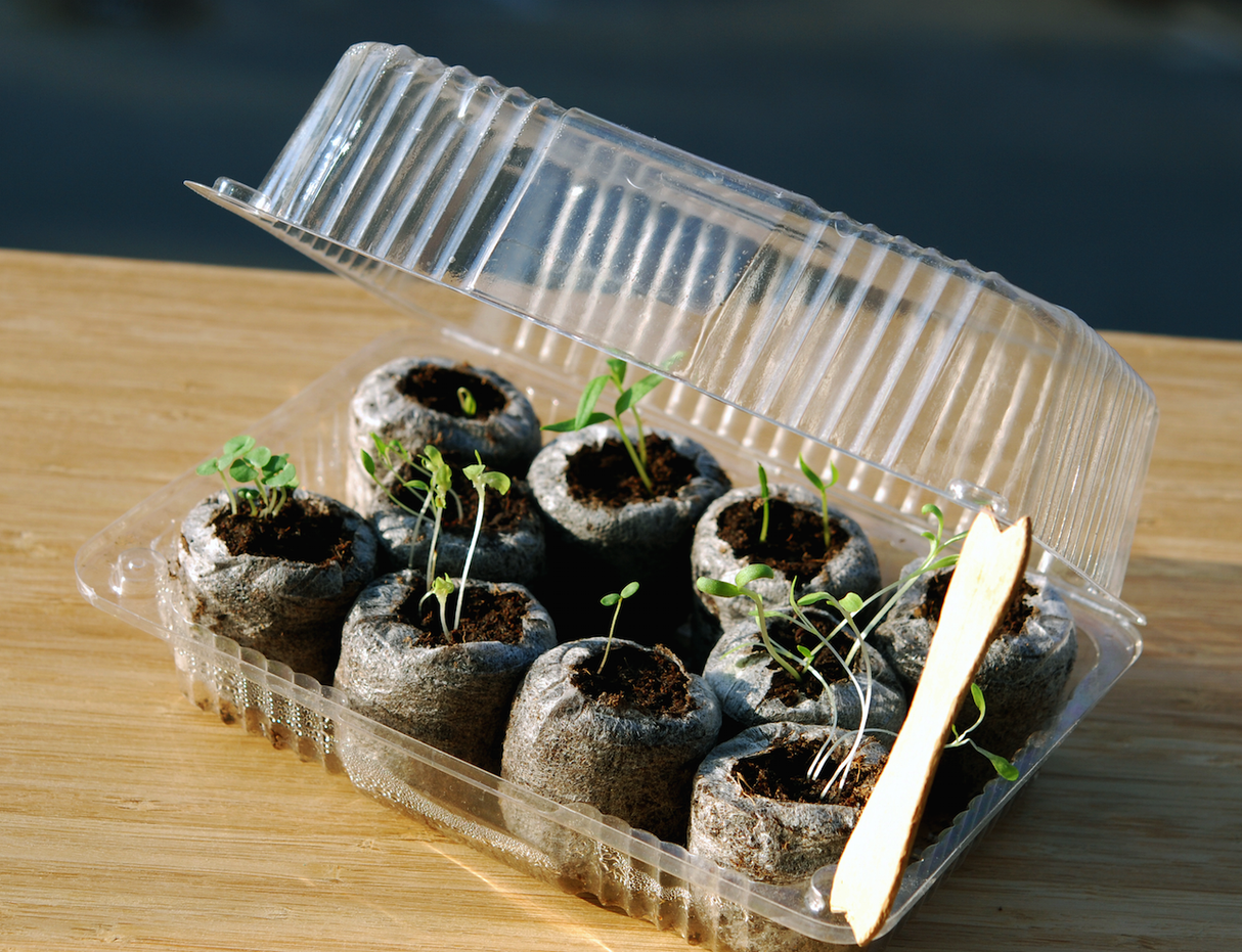 Mini Seed Starting Pods - SeedsNow.com