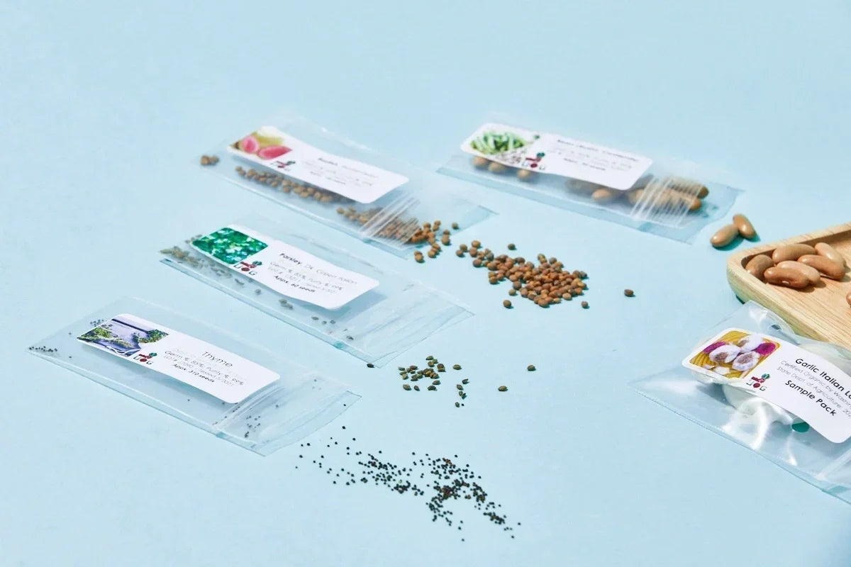 The Seed Club (BASIC PLAN)